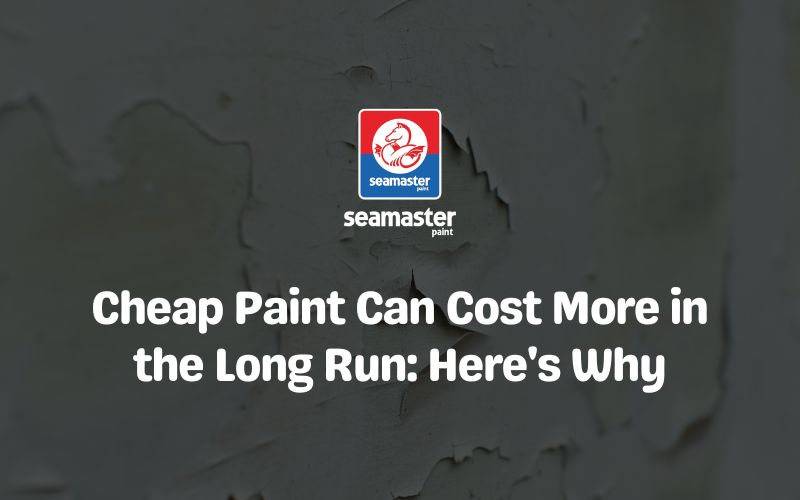 cheap-paint