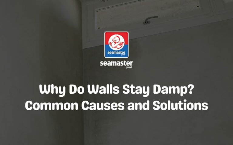 damp-walls
