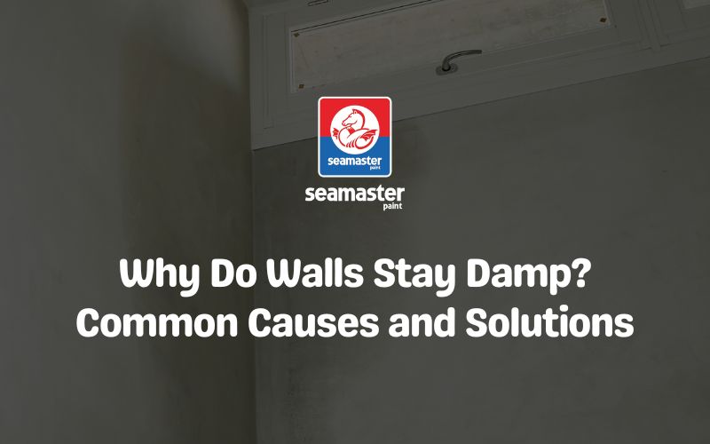 damp-walls