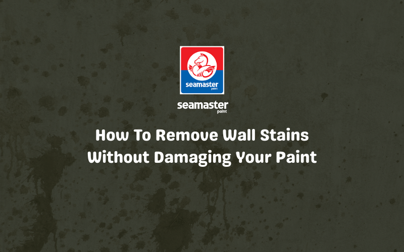 How To Remove wall stains without damaging your paint