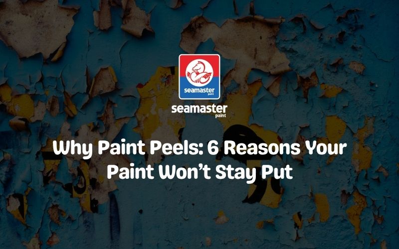 paint-peels